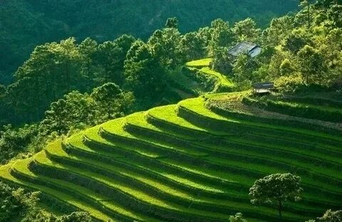 Các thay đổi thai kỳ của Li Wei và giải pháp của Hotspot Matrix_Khóa học edit video cho người mới bắt đầu