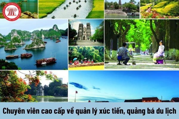 Loài cá kỳ lạ nhất châu Phi: - Cảm hứng video marketing từ Hotspot Matrix_Tuyển dụng Ma trận điểm truy cập